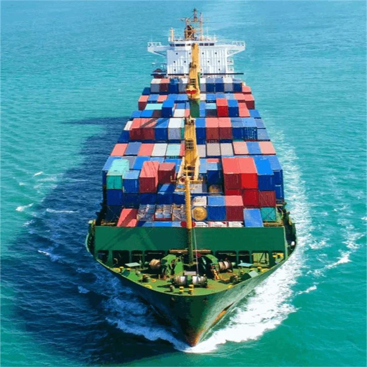 International Ocean Freight Forwarder